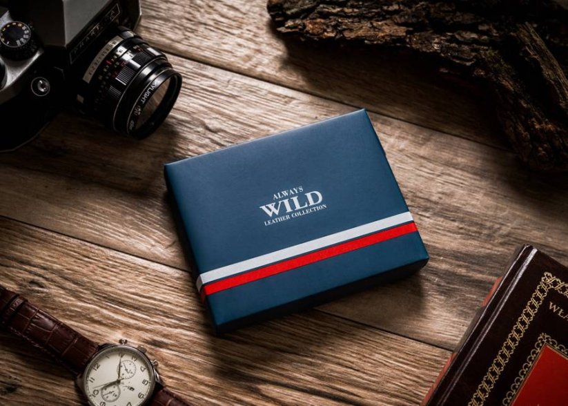 Pánská kožená peněženka Always Wild Gontar, hnědá